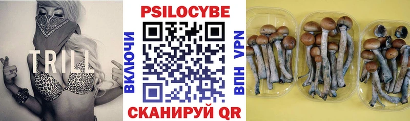 hydra зеркало  Салаир  Псилоцибиновые грибы прущие грибы 